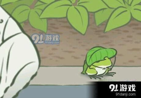 旅行青蛙怎么玩 基础系统教学攻略