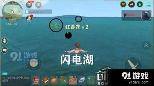 创造与魔法红莲花分布位置教程详解