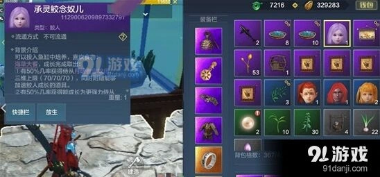 妄想山海小灵儿养成方法指南