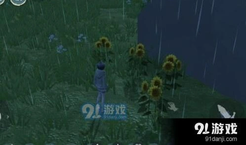 创造与魔法向日葵获取位置与种子用法