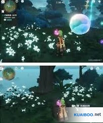 原神水天丛林解密攻略大全
