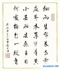 《何处》小雪节气梅花绽香位置