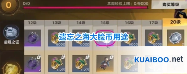 遗忘之海大脸币用途