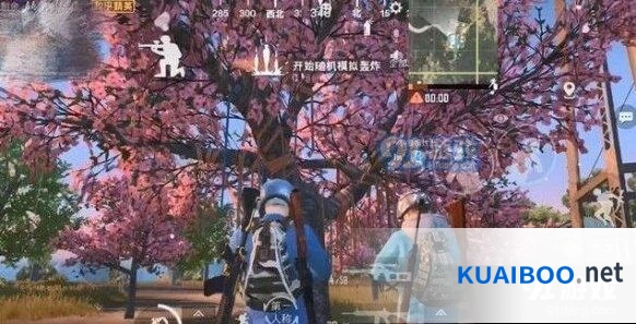和平精英樱花树位置分布攻略教程