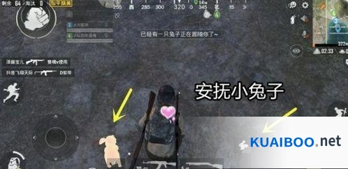 和平精英兔子刷新位置攻略