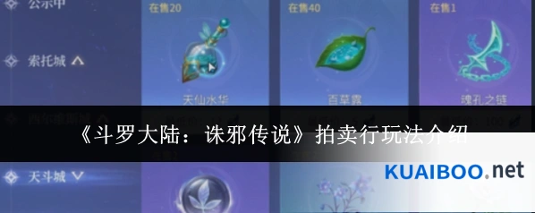 《斗罗大陆：诛邪传说》拍卖行玩法介绍