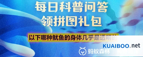 以下哪种鱿鱼的身体几乎是透明的