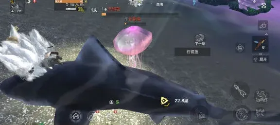 妄想山海石镜鱼怎么打 蛋怎么孵