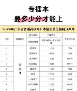 教育机构