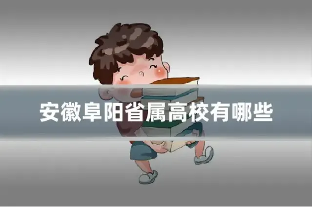 安徽阜阳省属高校有哪些