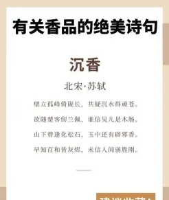 陈善
