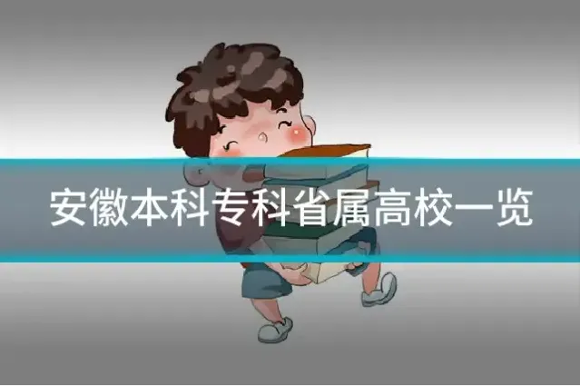 安徽本科专科省属高校一览