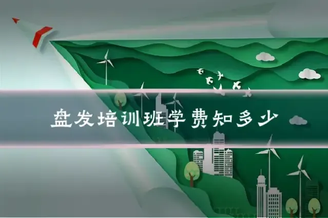 盘发培训班学费知多少