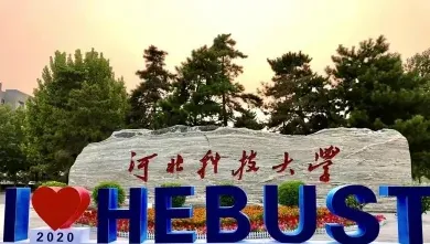 中心