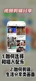 小红书音乐提取技巧教程