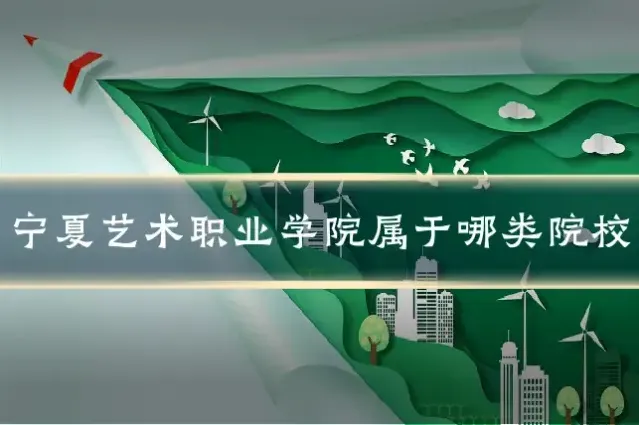 宁夏艺术职业学院属于哪类院校