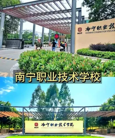 教学
