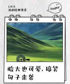 脸大