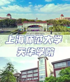 上海市