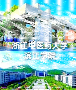 滨江学院