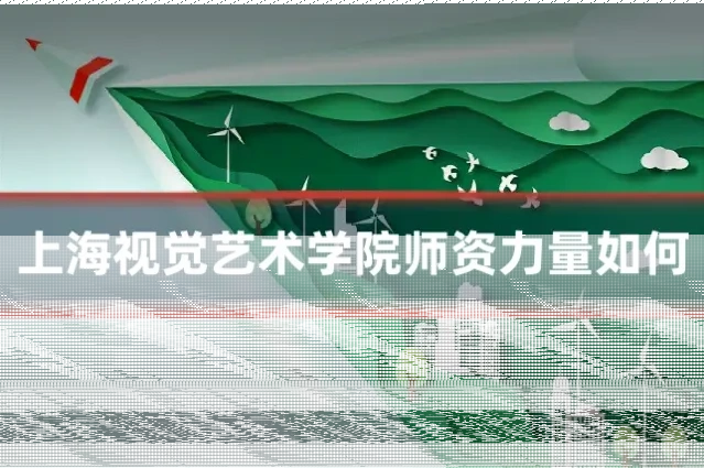 上海视觉艺术学院师资力量如何