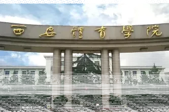 中心