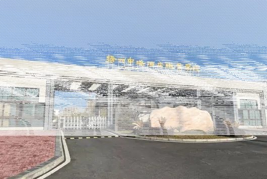 特色