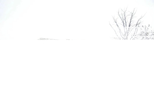 专业