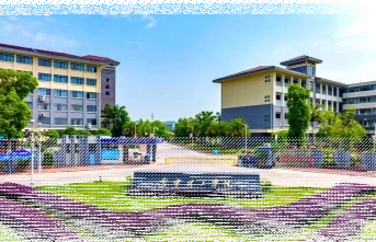 专任教师