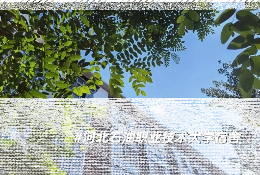 河北工业大学