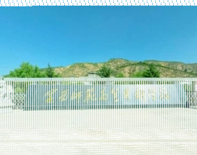 定西