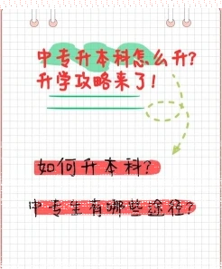 成考
