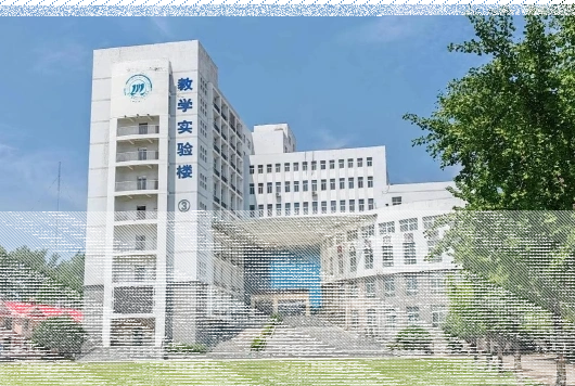 学校