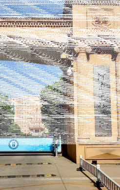 学校