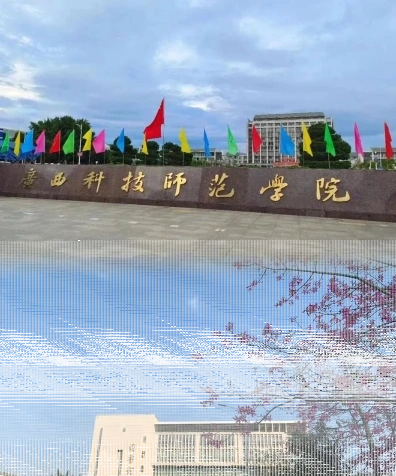 专任教师
