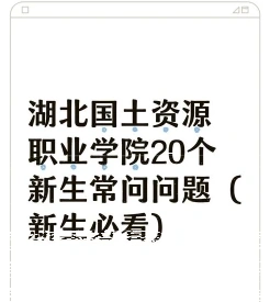 学校