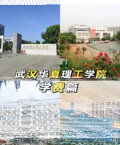 学校