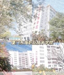 学院