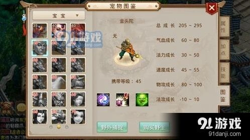问道宠物升级效率提升技巧
