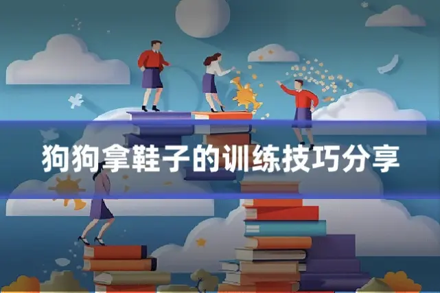 狗狗拿鞋子的训练技巧分享