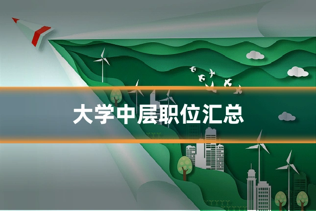 大学中层职位汇总