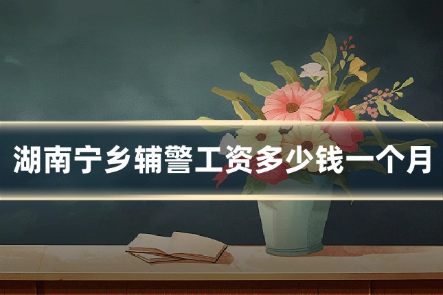 湖南宁乡辅警工资多少钱一个月