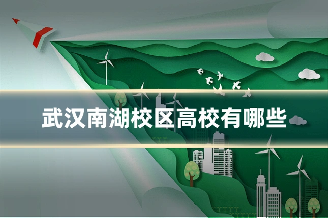 武汉南湖校区高校有哪些