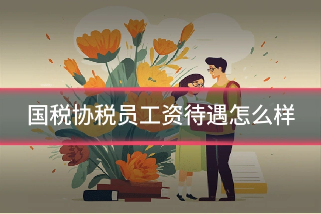 国税协税员工资待遇怎么样