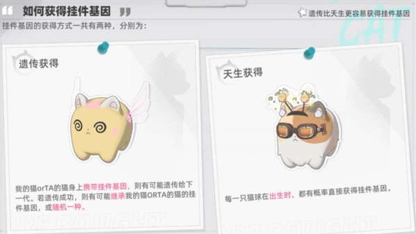 猫之城怎么解锁