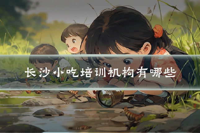 长沙小吃培训机构有哪些