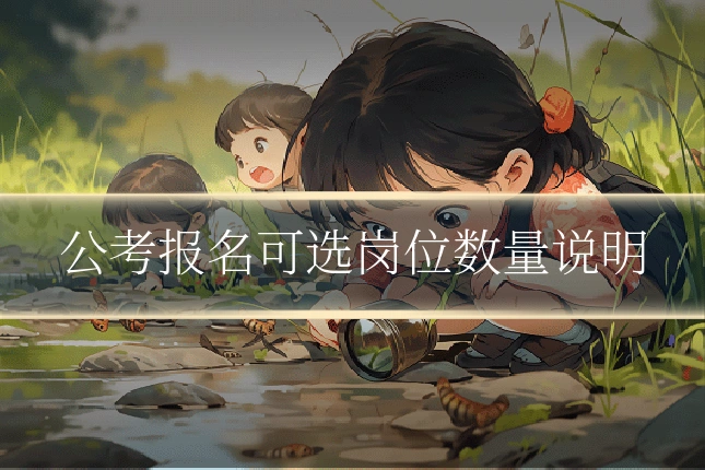 公考报名可选岗位数量说明