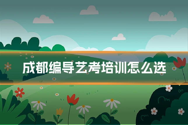 成都编导艺考培训怎么选