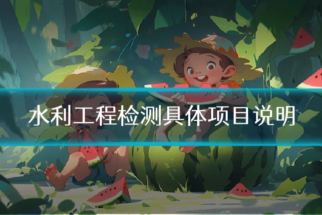 水利工程检测具体项目说明