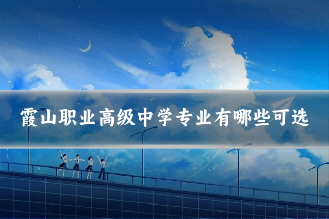 霞山职业高级中学专业有哪些可选